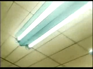 Azumanga Web Daiou (Fansubber)